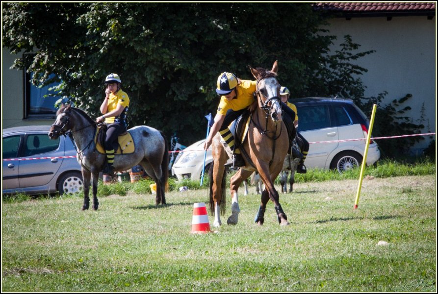 Mounted Games 039